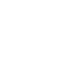 Endurance Limits